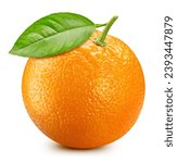 Orange citrus isolated on white ...