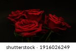   Red Roses On Black Background ...
