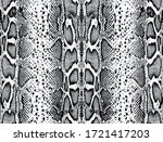 Python Skin  Snake Pattern ...