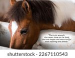 Small photo of negative quote about - There are wounds that never show on the body that are deeper and more hurtful than anything that bleeds. With a horse on a stable