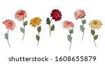 Set Of Vector Floral Elements...