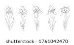 floral set of hand drawn black... | Shutterstock .eps vector #1761042470