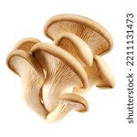 Oyster mushrooms isolated on a...