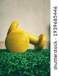 Small photo of Yellow dumbbell set of two kgs