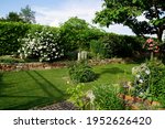 residential garden  private... | Shutterstock . vector #1952626420