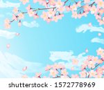 frame of "sakura" cherry... | Shutterstock .eps vector #1572778969