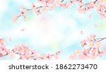 cherry blossoms in full bloom... | Shutterstock .eps vector #1862273470