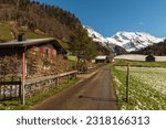 Narrow road with houses and view to the snow-covered Mt. Saentis, Wildhaus-Alt St. Johann, Toggenburg, Canton St. Gallen, Switzerland