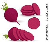 vector beets on a white... | Shutterstock .eps vector #1926592256