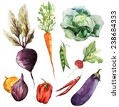 vegetables  food watercolor | Shutterstock .eps vector #238684333