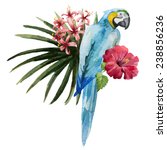 Parrot  Hibiscus  Watercolor
