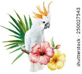 White Parrot With Hibiscus...