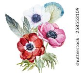 Anemone  Watercolor  Flowers ...