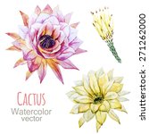 Cactus  Flower  Watercolor ...
