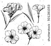 Oleander Flower Vector Graphics ...