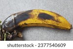Small photo of a banana in the throes of decay is portrayed with dramatic detail – its skin darkened and disintegrating, exposing the mushy, brown interior, vividly capturing the visual and textural transformation
