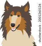 Brown And Tan Collie Dog With...
