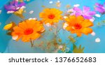 beautiful flowers immersed in... | Shutterstock . vector #1376652683