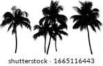Coconut Palm Tree Silhouette...