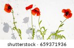 red poppies on a bleached wall... | Shutterstock . vector #659371936