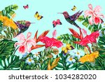 Tropical Flowers  Hummingbirds  ...