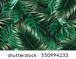 tropical palm leaves  jungle... | Shutterstock .eps vector #550994233
