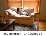 Small photo of lived in natural living room love sofa couch with blankets and pillows thrown relaxed wood coffee table gray patterned carpet wood blinds toupe walls