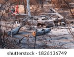 Small photo of Obliterated by wildfire, property and vehicle sadly lost to devastating inferno.
