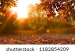 Beautiful autumn landscape with ...