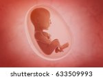 Fetus Inside The Womb  3d...
