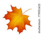 Autumn Maple Leaf Vector On A...