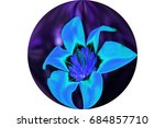 Blue Flower In Sphere High...