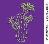 blooming cactus. calligraphic... | Shutterstock .eps vector #2107891016