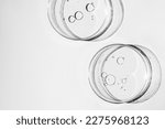 Petri dish. petri cups with...