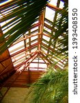 Small photo of Ceiling of tropical green house