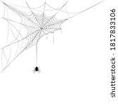 spider on corner web. design... | Shutterstock . vector #1817833106