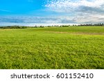 Green field, landscape of meadow with grass and blue sky in spring