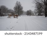 Small photo of OBERLIN, OHIO, USA - JANUARY 02, 2014: Snow on Colony Drive, looking south toward Westwood Cemetary.