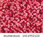 A Wall Full Of Rose Buds. It S...