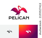 Beautiful Pelican Spread Wings...