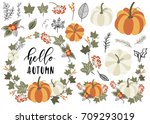 collection of autumn and fall... | Shutterstock .eps vector #709293019