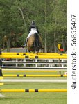 Small photo of PORTIMAO, PORTUGAL - JUNE 13: Participant in action at International Show Jumping CS4 Portimao , Portugal,June 13, 2010 in Portimao.