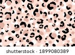 abstract modern leopard... | Shutterstock .eps vector #1899080389