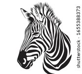 Zebra Animal Illustration ...