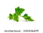 parsley isolated on white