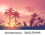 Copy space of silhouette tropical palm tree with sun light on sunset sky and cloud abstract background. Summer vacation and nature travel adventure concept. Vintage tone filter effect color style.   