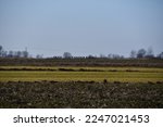 A panorama of farmland with an infantry unit moving on the horizon.