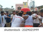 Small photo of Mahesh, 06-28-2023: priests chanting in the name of God as they carry idol of Lord Jagannath (wrapped in red blanket) through heavy crowd, from Gundicha Bari temple to the chariot.