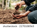 Hand Of Farmer Inspecting Soil...