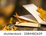 Book Among Fallen Yellow Autumn ...